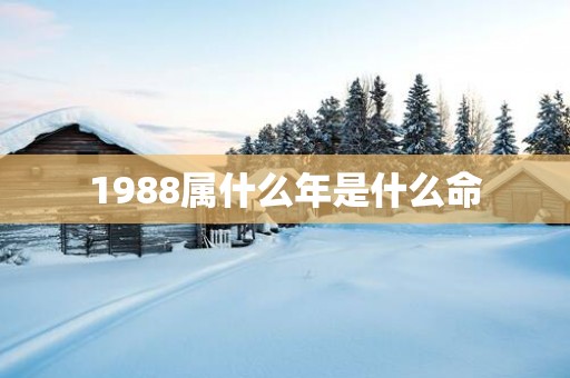 1988属什么年是什么命