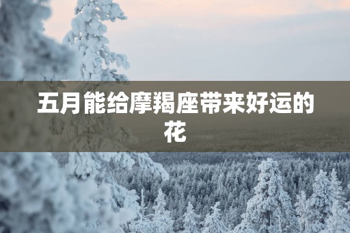 五月能给摩羯座带来好运的花
