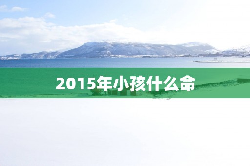 2015年小孩什么命