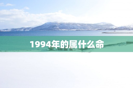 1994年的属什么命