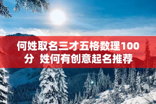 何姓取名三才五格数理100分  姓何有创意起名推荐