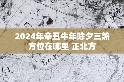 2025年辛丑蛇年除夕三煞方位在哪里 正北方