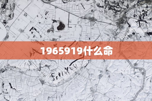 1965919什么命