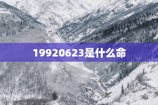 19920623是什么命