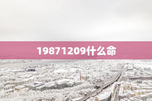 19871209什么命
