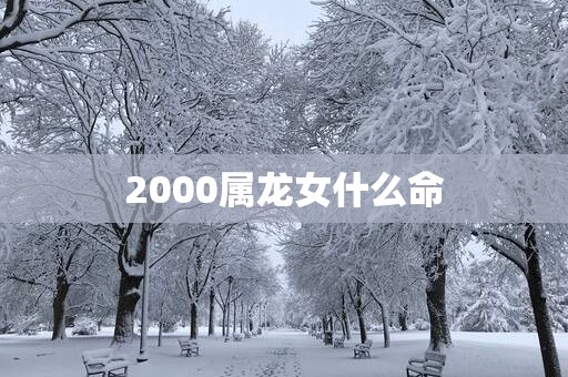 2000属龙女什么命