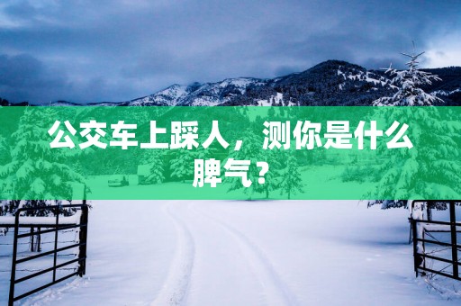 公交车上踩人，测你是什么脾气？