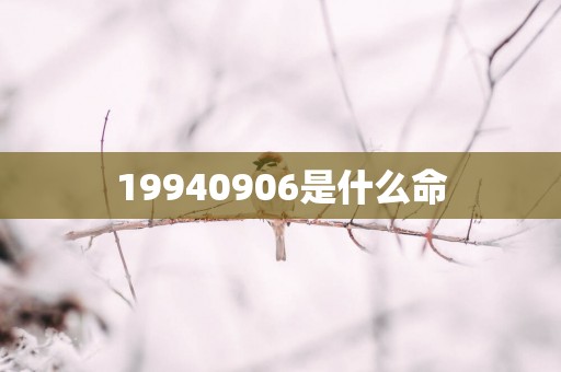 19940906是什么命