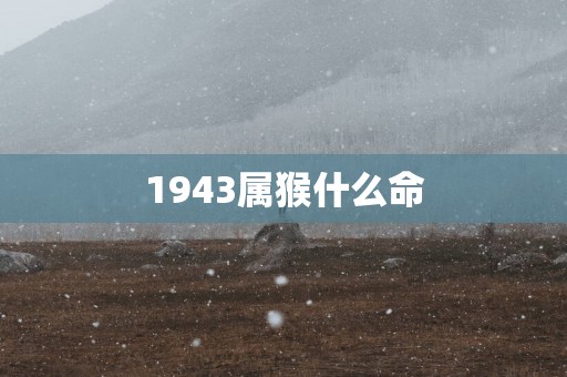 1943属猴什么命