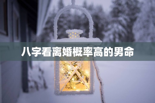 八字看离婚概率高的男命
