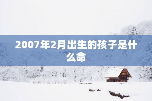 2007年2月出生的孩子是什么命