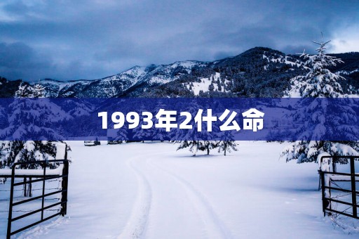 1993年2什么命