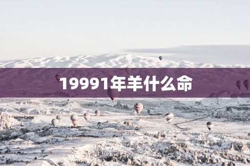 19991年羊什么命
