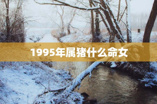 1995年属猪什么命女