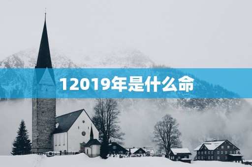 12019年是什么命