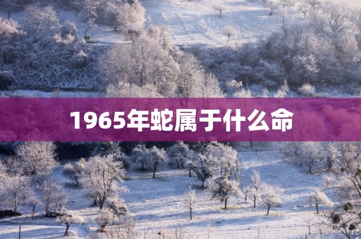 1965年蛇属于什么命