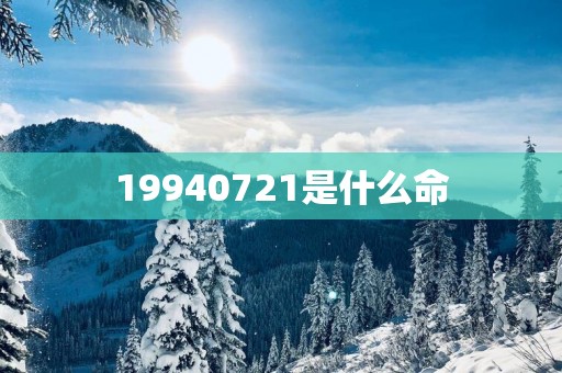19940721是什么命