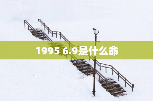 1995 6.9是什么命