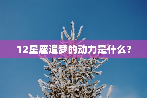 12星座追梦的动力是什么？