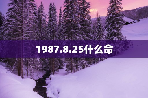 1987.8.25什么命