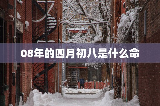 08年的四月初八是什么命