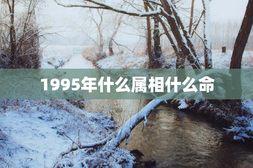 1995年什么属相什么命