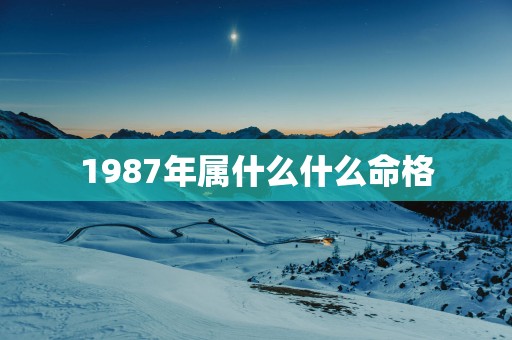 1987年属什么什么命格