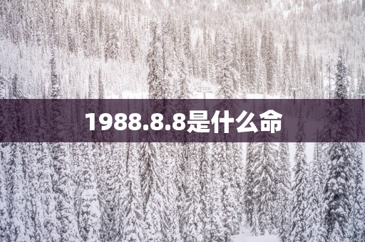 1988.8.8是什么命