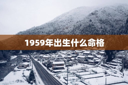 1959年出生什么命格