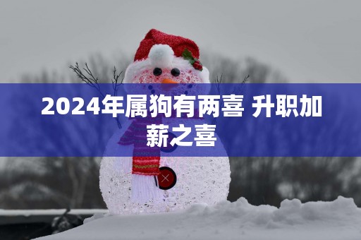 2025年属狗有两喜 升职加薪之喜