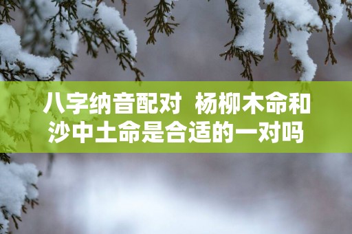 八字纳音配对  杨柳木命和沙中土命是合适的一对吗