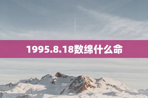 1995.8.18数绵什么命