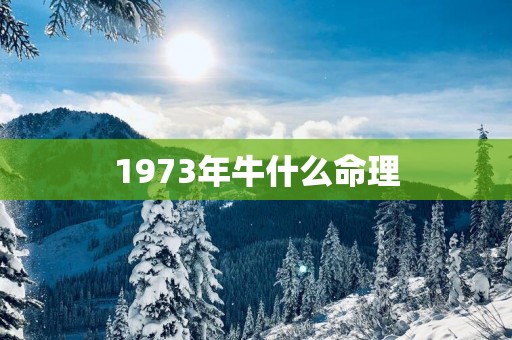 1973年牛什么命理