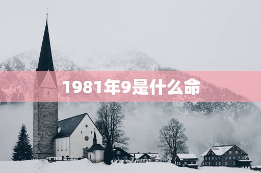 1981年9是什么命