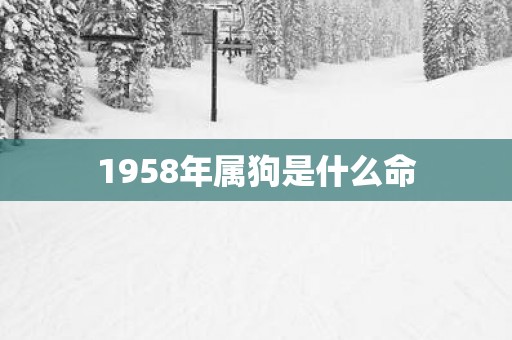 1958年属狗是什么命