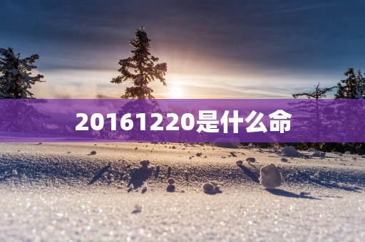 20161220是什么命