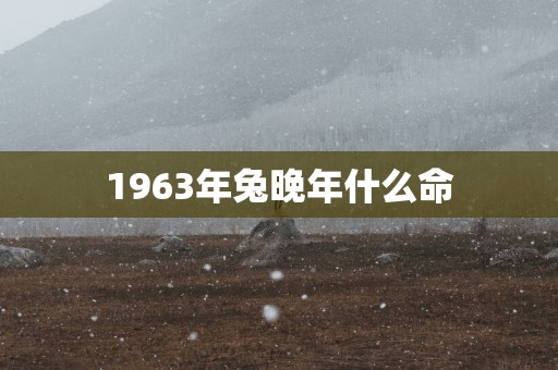 1963年兔晚年什么命