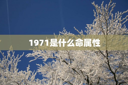 1971是什么命属性