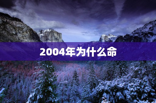 2004年为什么命