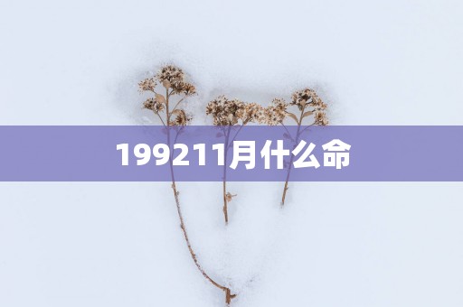 199211月什么命