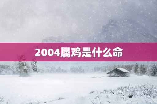 2004属鸡是什么命
