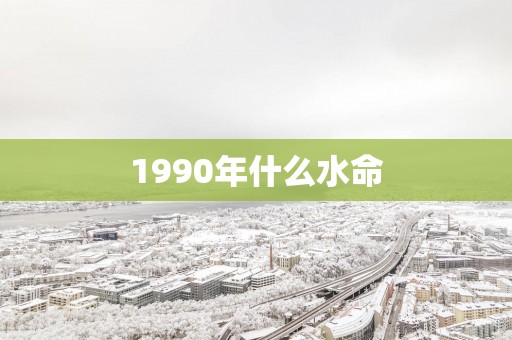 1990年什么水命
