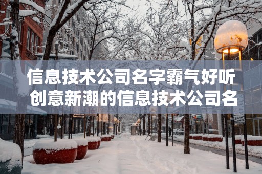 信息技术公司名字霸气好听 创意新潮的信息技术公司名字