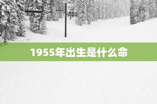 1955年出生是什么命