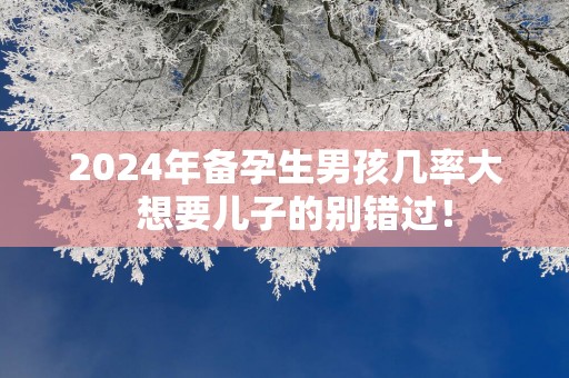 2025年备孕生男孩几率大  想要儿子的别错过！