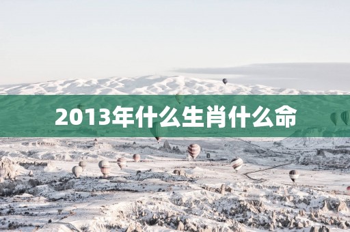 2013年什么生肖什么命