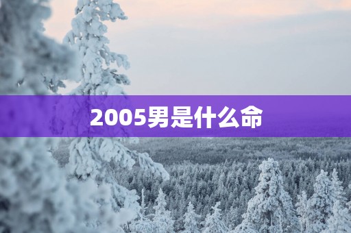 2005男是什么命