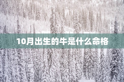 10月出生的牛是什么命格