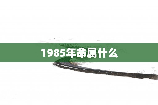 1985年命属什么
