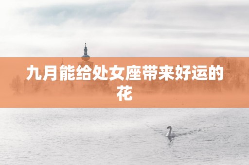 九月能给处女座带来好运的花